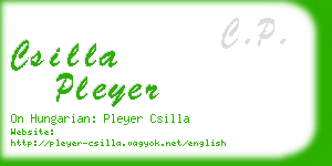 csilla pleyer business card